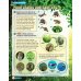 Super Minds. Level 3. Student's Book with DVD (+ DVD)