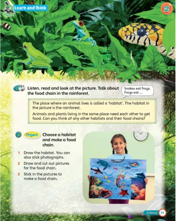 Super Minds. Level 3. Student's Book with DVD (+ DVD)