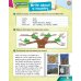 Super Minds. Level 3. Student's Book with DVD (+ DVD)
