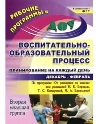 Воспитательно-образовательный процесс. Планирование. Декабрь-февраль. 2 младшая группа