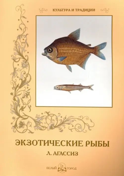 Культура и традиции Экзотические рыбы