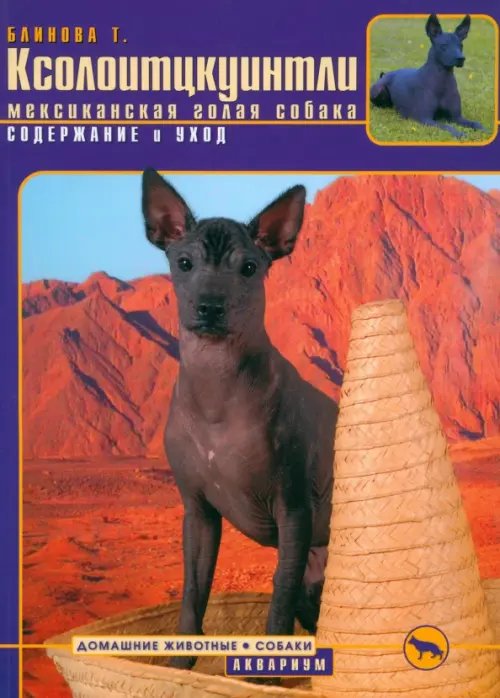 Домашние животные. Собаки Ксолоитцкуинтли (Мексиканская голая собака). Содержание и уход