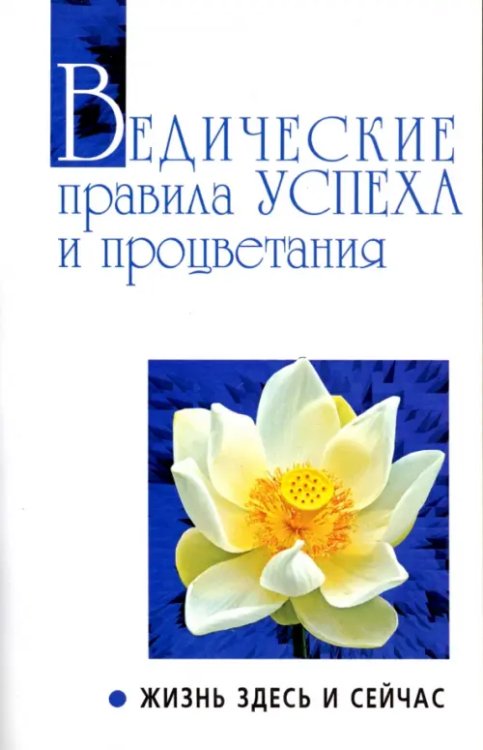Свет Божественной истины Ведические правила успеха и процветания. Жизнь здесь и сейчас