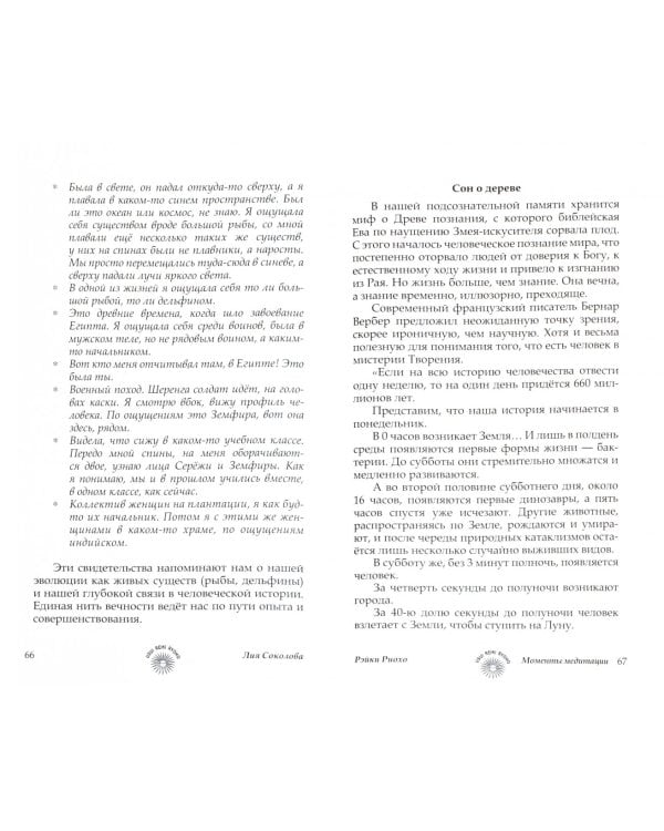 Рэйки Риохо. Моменты медитации