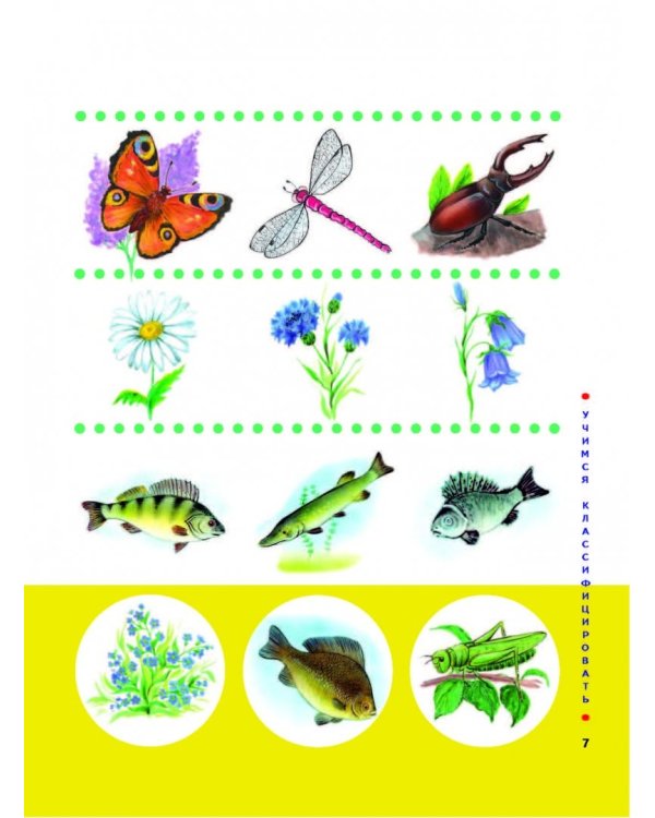 Большая книга заданий и упражнений по развитию логики малыша