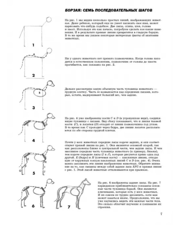 Как рисовать животных