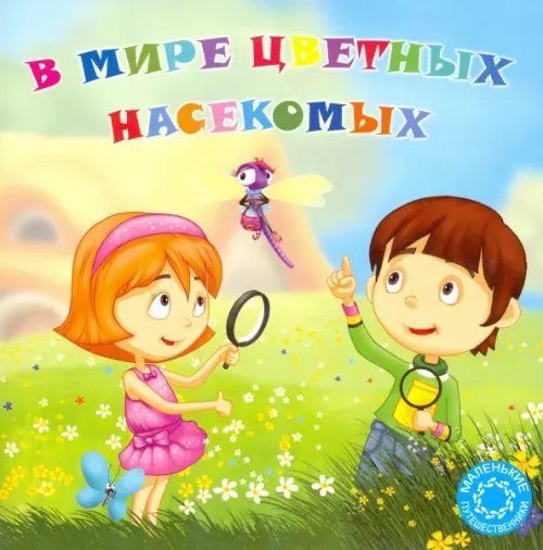 В мире цветных насекомых