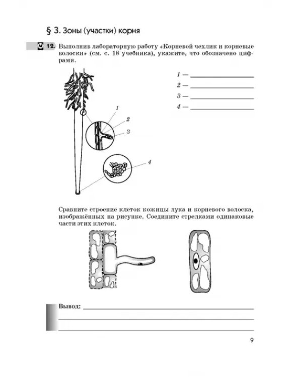 Биология. 6 класс. Многообразие покрытосеменных растений. Рабочая тетрадь к учеб. В. Пасечника. ФГОС