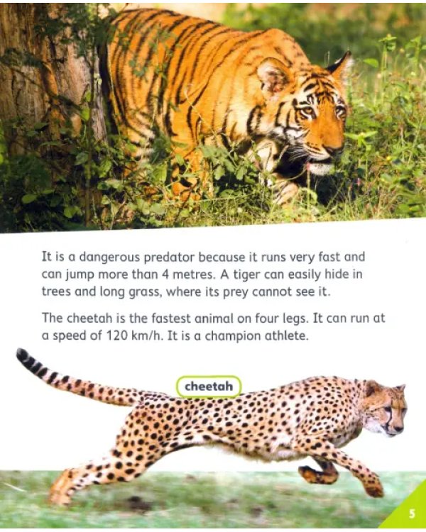 Animal Athletes