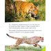 Animal Athletes