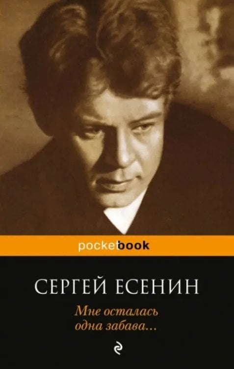 Pocket book Мне осталась одна забава... Стихотворения