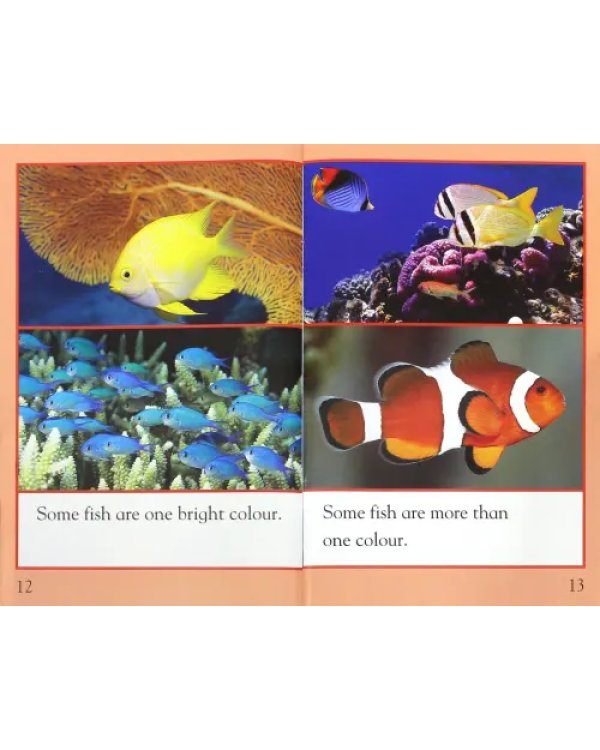 Mac Fact Read.  Colourful Coral Reef