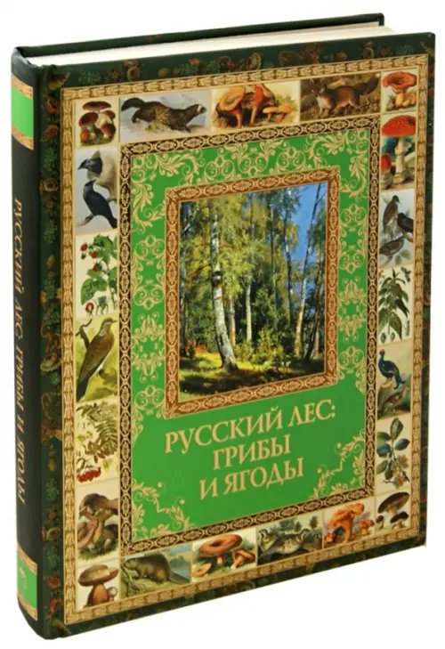 Русский лес. Грибы и ягоды