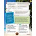 Super Minds. Level 6. Student's Book with DVD (+ DVD)