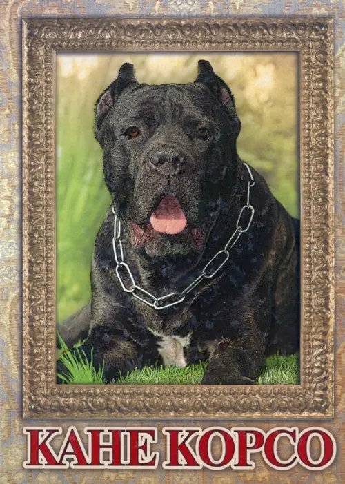 Библиотека собаковода России Кане Корсо. Фотоальбом