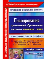 Планирование организованной образовательной деятельности воспитателя с детьми подготовительной групп