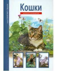 Кошки