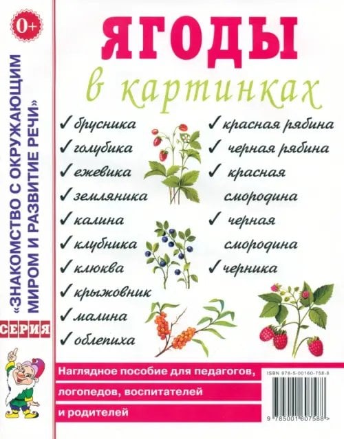 Ягоды в картинках. Наглядное пособие для педагогов, логопедов, воспитателей и родителей
