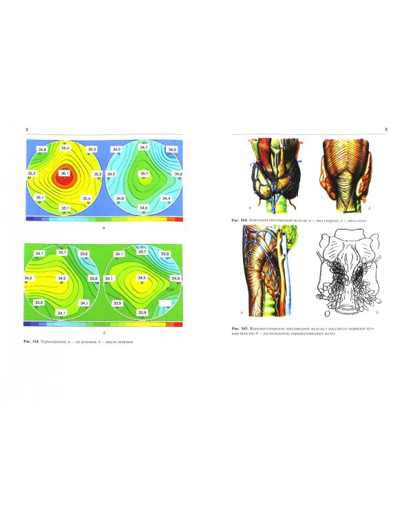 Хирургические болезни. Учебник в 2-х томах. Том 1