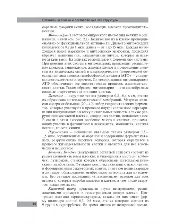 Анатомия и физиология человека: учебное пособие