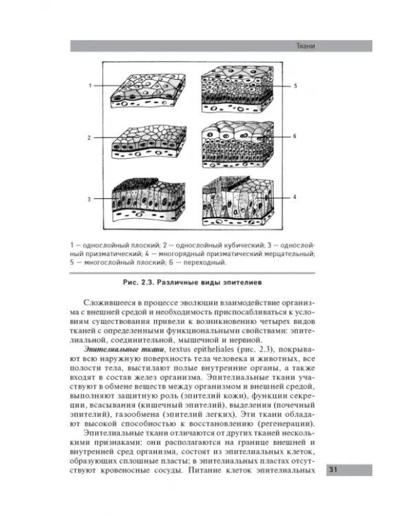 Анатомия и физиология человека: учебное пособие