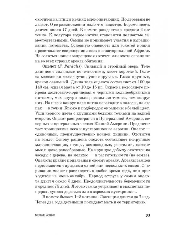 Фелинология. Учебное пособие