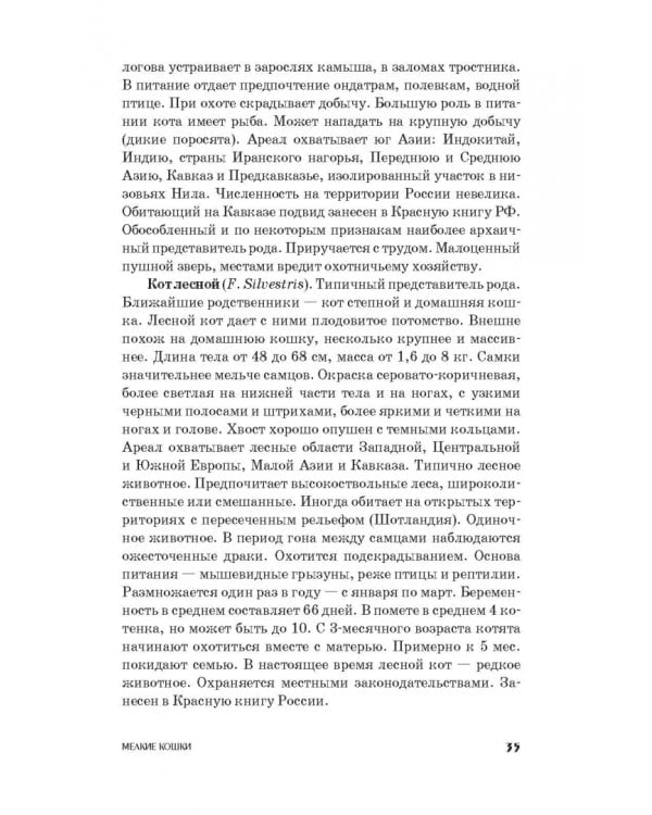 Фелинология. Учебное пособие