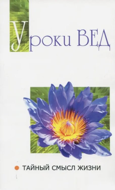 Уроки вед. Тайный смысл жизни Уроки вед. Тайный смысл жизни