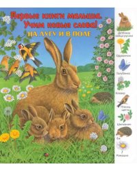 На лугу и в поле. Виммельбух