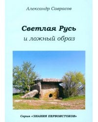 Светлая Русь и ложный образ. Книга шестая