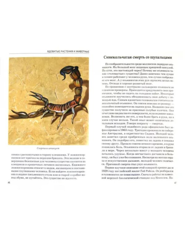 Ядовитые растения и животные