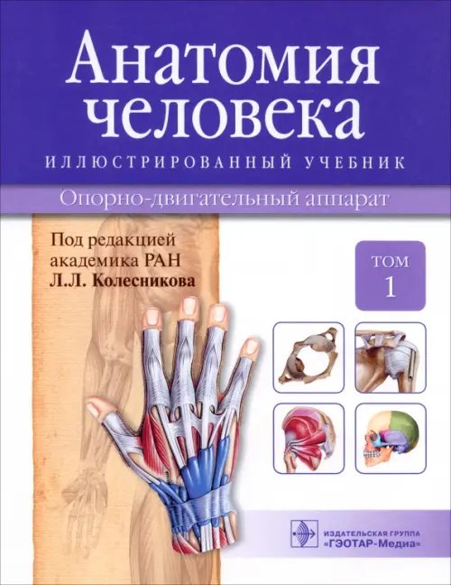 Анатомия человека. Иллюстрированный учебник. В 3-х томах. Том 1. Опорно-двигательный аппарат Анатомия человека. Иллюстрированный учебник. В 3-х томах. Том 1. Опорно-двигательный аппарат