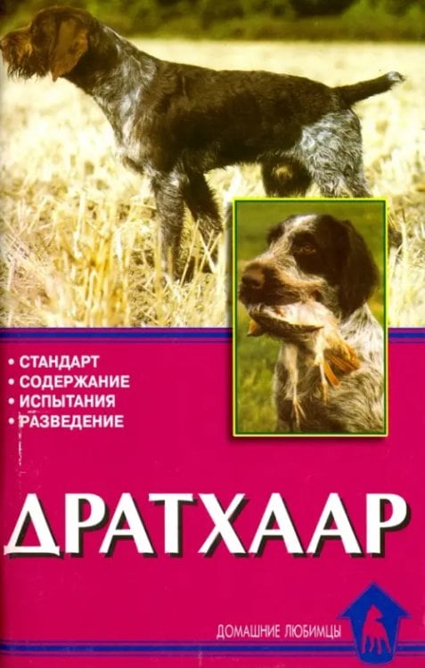 Домашние любимцы Дратхаар. История. Стандарт. Испытания. Разведение