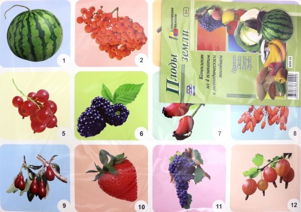 Наглядно-тематический уголок в ДОУ Комплект плакатов "Плоды земли" (4 плаката: "Фрукты", "Ягоды", "Овощи", "Грибы") ФГОС ДО