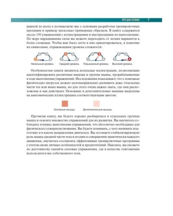 Анатомия силовых упражнений с использованием в качестве отягощения собственного веса