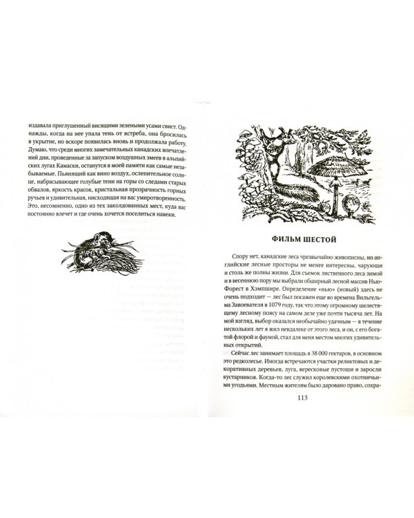 Натуралист на мушке