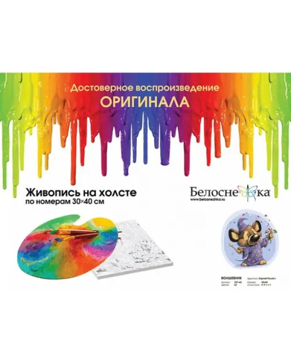 Живопись на холсте. Волшебник, 30х40 см