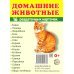 Раздаточные карточки "Домашние животные" (16 карточек)