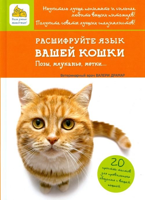 Ваши умные животные! Расшифруйте язык вашей кошки. Позы, мяуканье, метки...