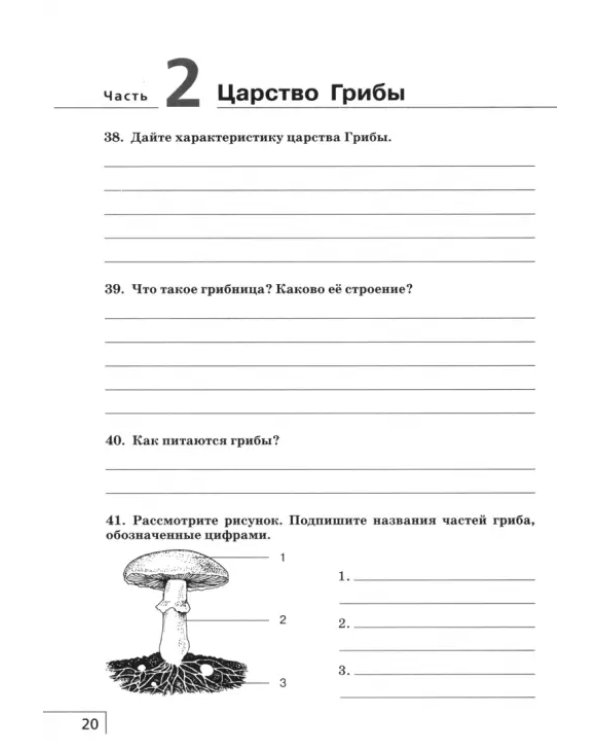 Биология. 7 класс. Многообразие живых организмов. Рабочая тетрадь. Вертикаль. ФГОС