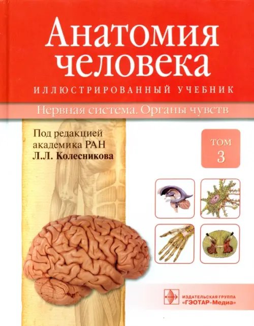 Анатомия человека. Учебник в 3-х томах. Том 3. Нервная система. Органы чувств Анатомия человека. Учебник в 3-х томах. Том 3. Нервная система. Органы чувств