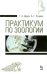 Практикум по зоологии. Учебное пособие