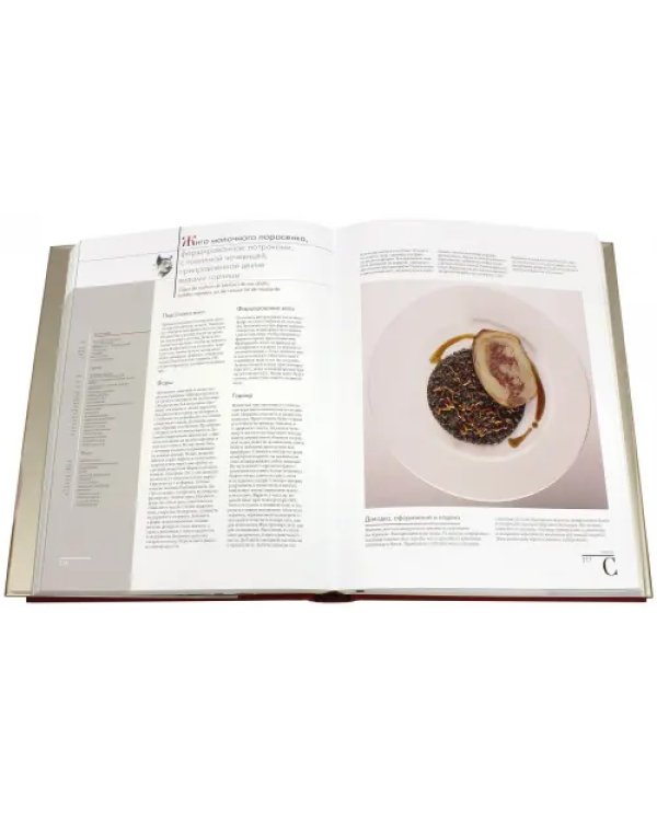 Большая кулинарная книга. Мясо и птица