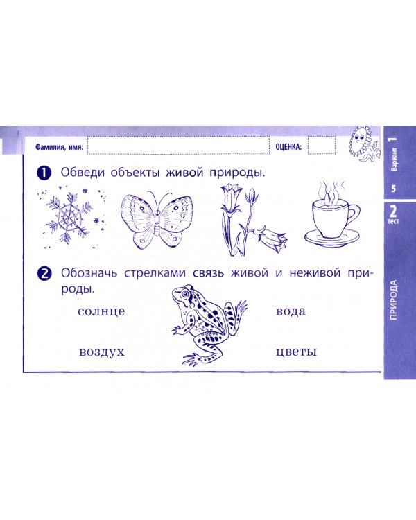 Дополнительное изображение книги «Окружающий мир. 2 класс. Экспресс-контроль. ФГОС»