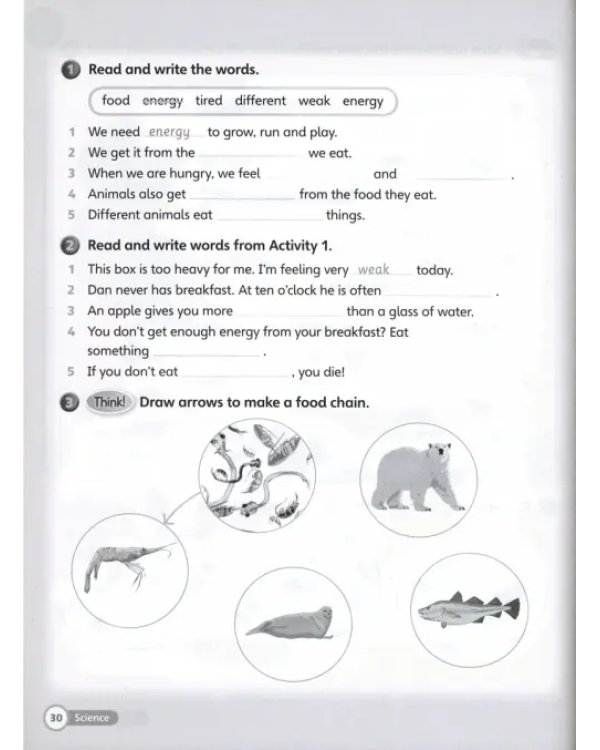 Super Minds Level 3. Workbook with Online Resources
