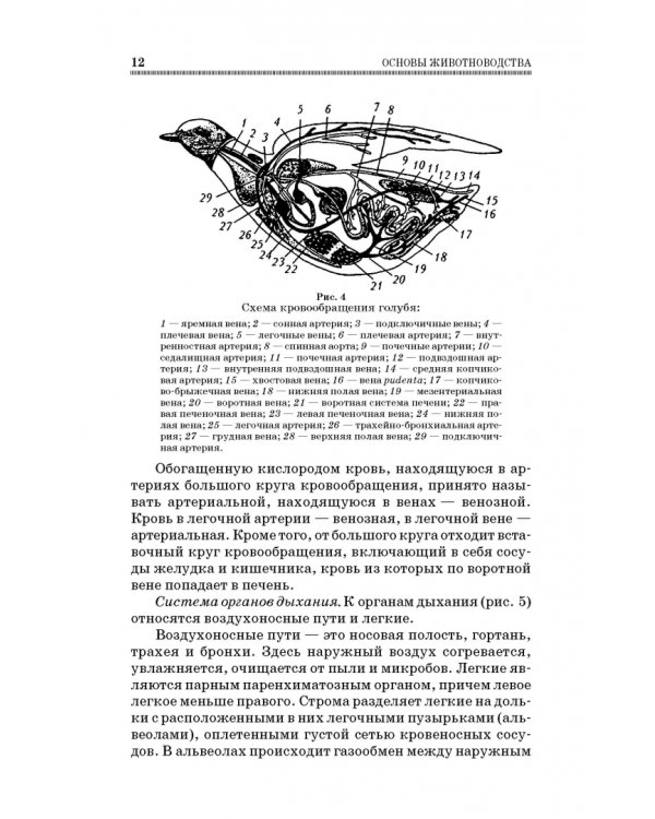 Дополнительное изображение книги «Основы животноводства. Учебник. Гриф УМО вузов России»
