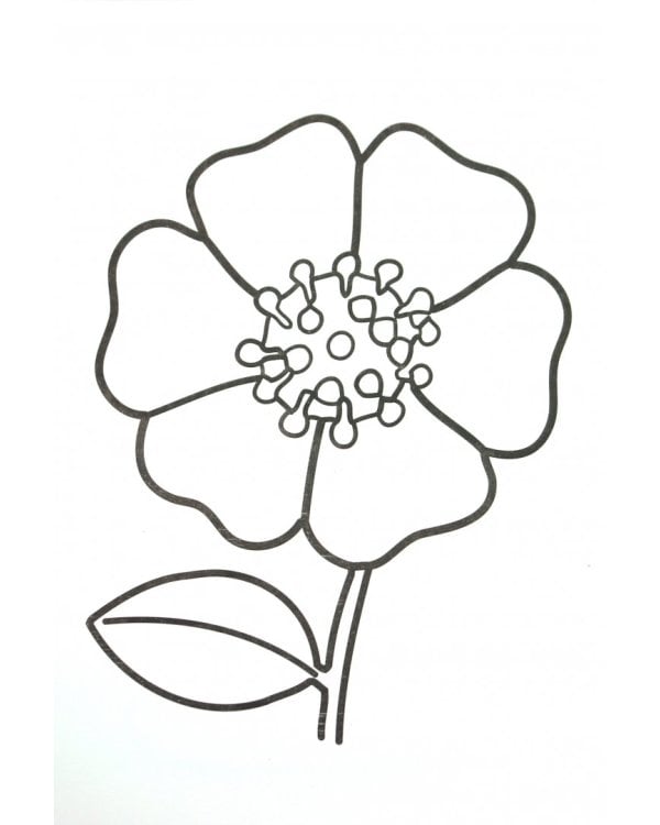 Раскраска "Прозрачные страницы. Жираф" (06201)