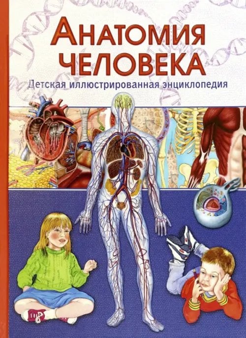 Анатомия человека. Детская иллюстрированная энциклопедия Анатомия человека. Детская иллюстрированная энциклопедия