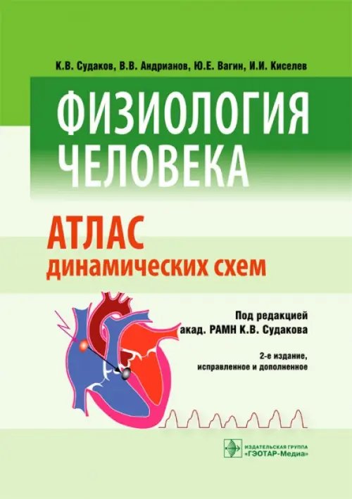 Физиология человека. Атлас динамических схем. Учебное пособие Физиология человека. Атлас динамических схем. Учебное пособие