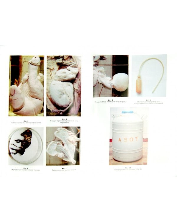 Ветеринарное акушерство, гинекология и биотехнология размножения